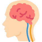 Brain & Spine Surgery