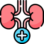 Nephrology & Kidney Surgery